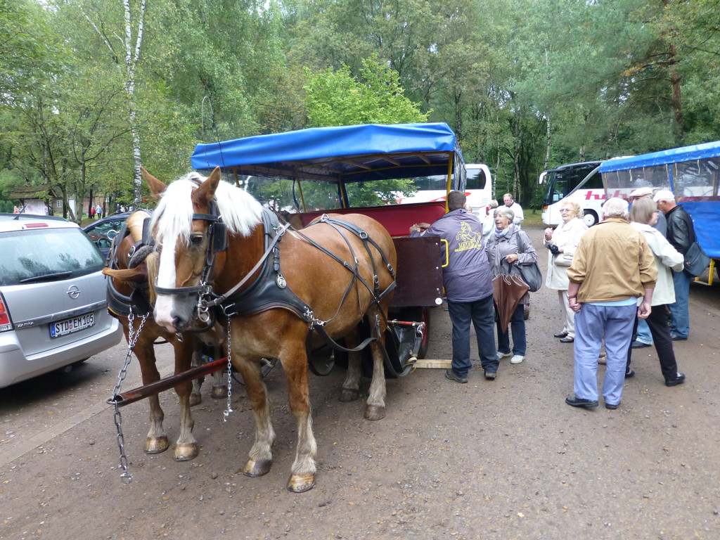 Jahresausflug L__neburger Heide 08_ - 11_Sept_ 2013 _12_.JPG