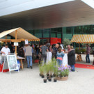 IMG_1674_JPG-1379258057