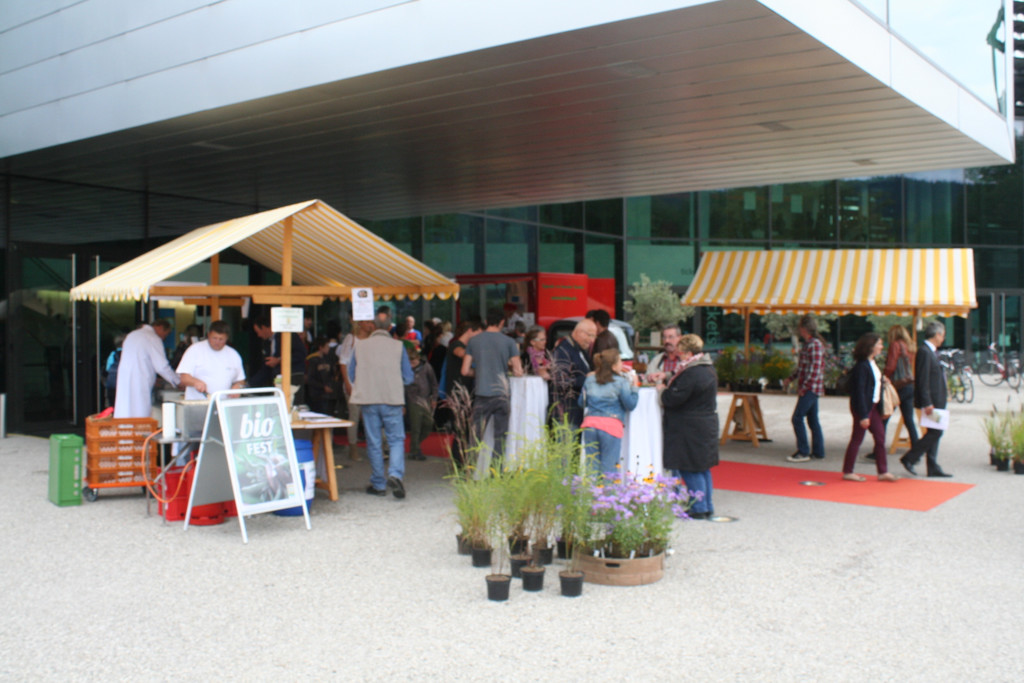 IMG_1674_JPG-1379258057