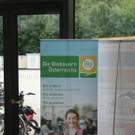 IMG_1688_JPG-1379258171