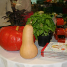 IMG_1703_JPG-1379258290