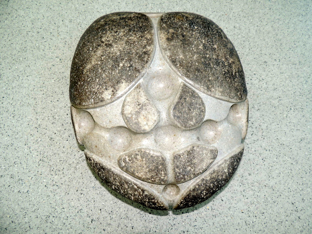 DSCN3504_JPG-1379270643