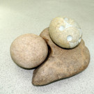 DSCN3507_JPG-1379270652