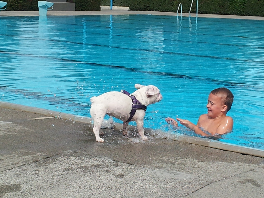 WalgaubadHund_jpg-1379277092