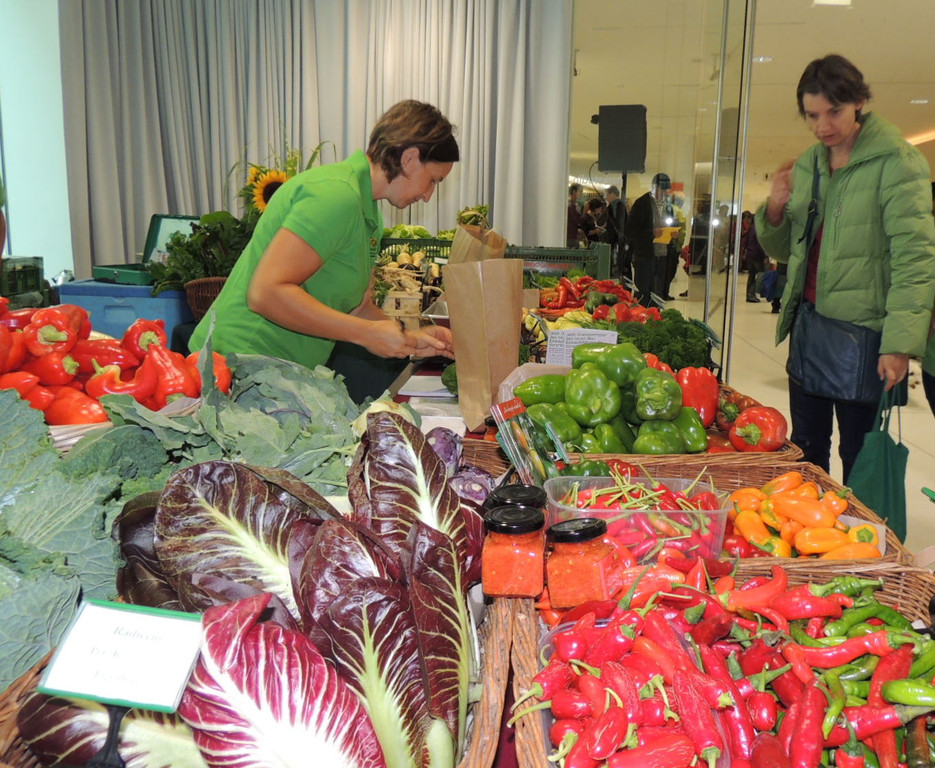 DSCN4602_JPG-1379278744