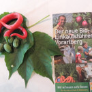 DSCN4589_JPG-1379278697