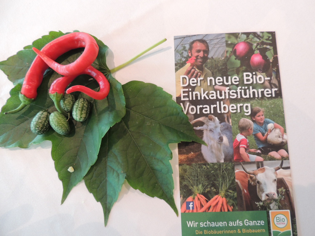 DSCN4589_JPG-1379278697