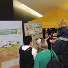 DSCN4594_JPG-1379278719