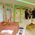 DSCN4615_JPG-1379278792