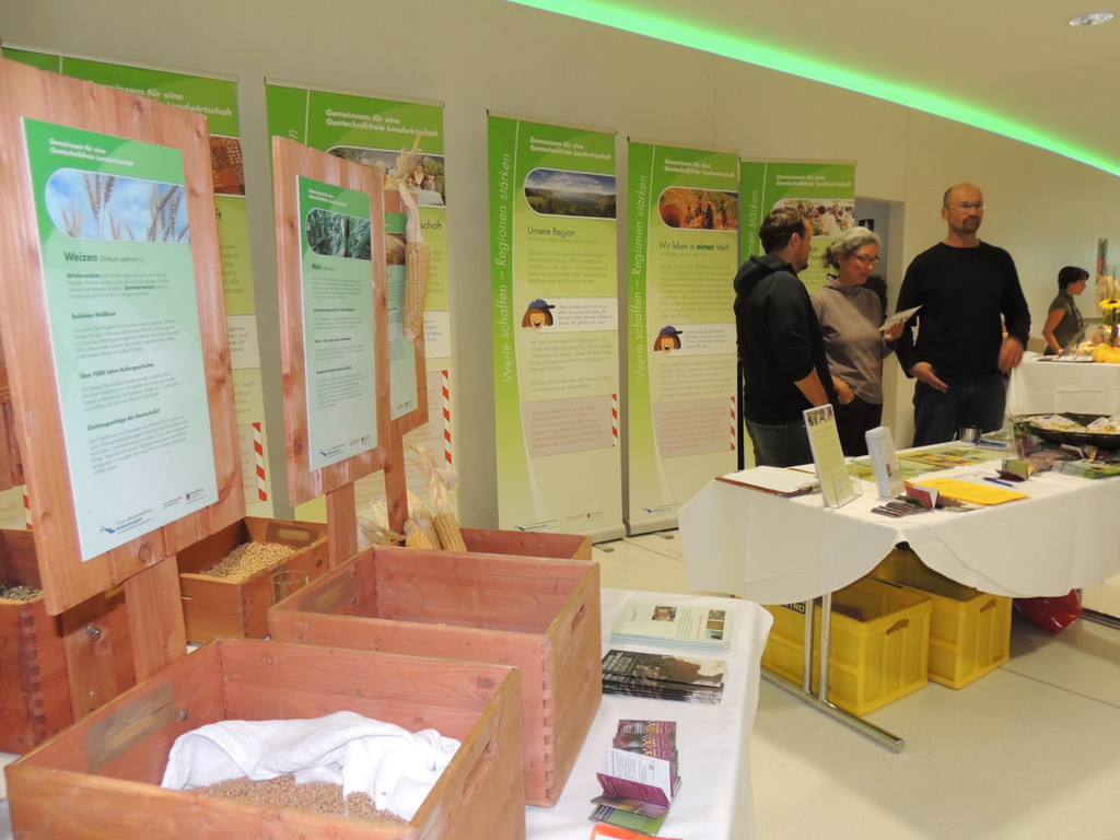 DSCN4615_JPG-1379278792