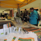 DSCN4595_JPG-1379278725