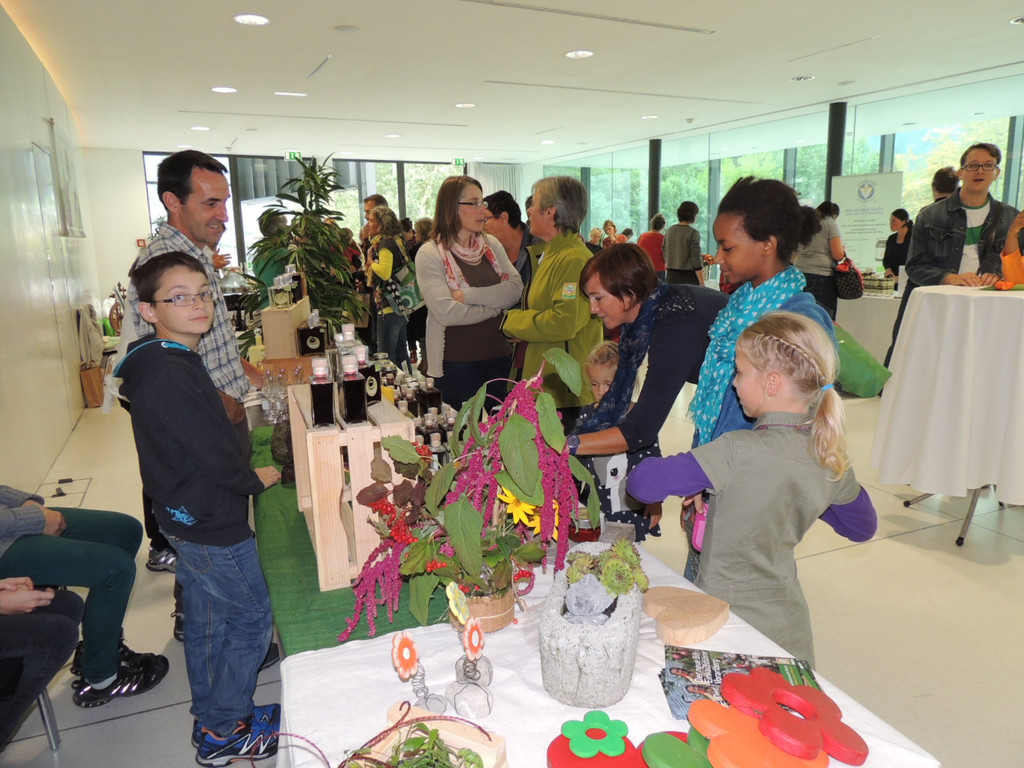 DSCN4608_JPG-1379278769