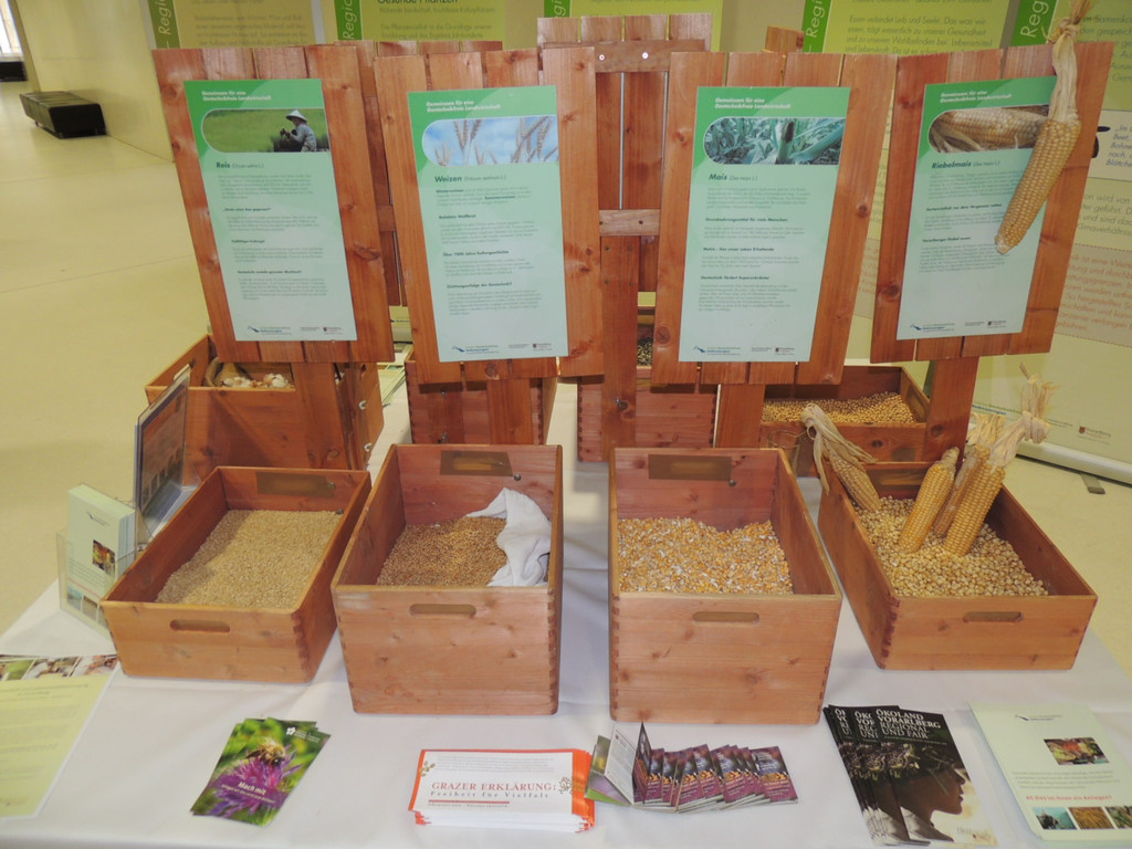 DSCN4613_JPG-1379278787