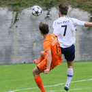 IMG_7937_jpg-1379280306