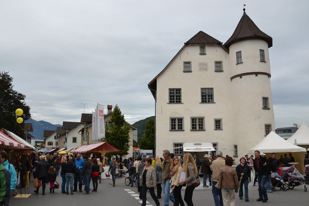 DSC_0451_JPG-1379315560