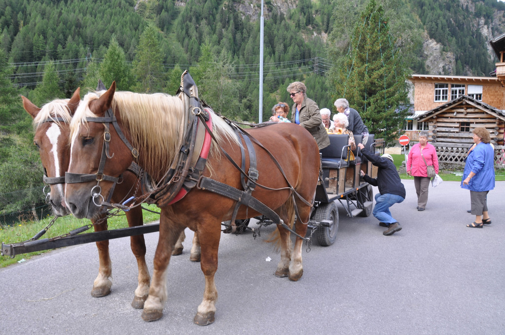 DSC_3770_JPG-1379327644