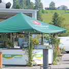IMG_9211_JPG-1379330992