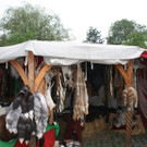 IMG_1718_JPG-1379333968