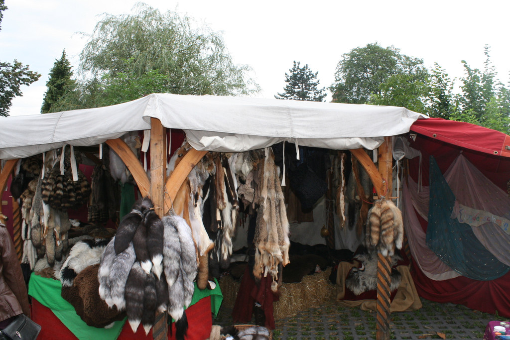 IMG_1718_JPG-1379333968