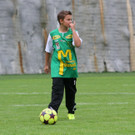IMG_7673_jpg-1379355956