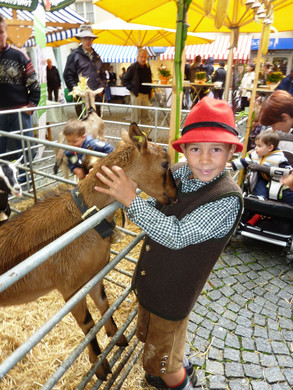 Erntedank 2012b.jpg