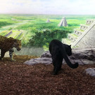normal_17092013fmt_jaguar_ta_018.JPG