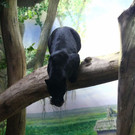 normal_17092013fmt_jaguar_ta_022.JPG