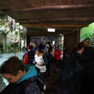 normal_17092013fmt_jaguar_ta_026.JPG