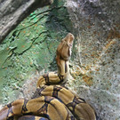 normal_17092013fmt_jaguar_ta_028.JPG