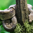 normal_17092013fmt_jaguar_ta_029.JPG