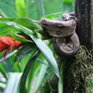 Zoo170913021_klein.jpg