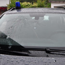 ABD0105-20130917.jpg