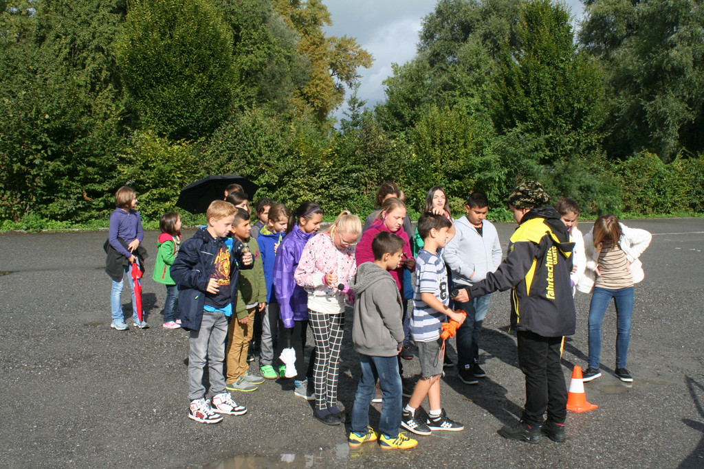 IMG_1776_JPG-1379432872