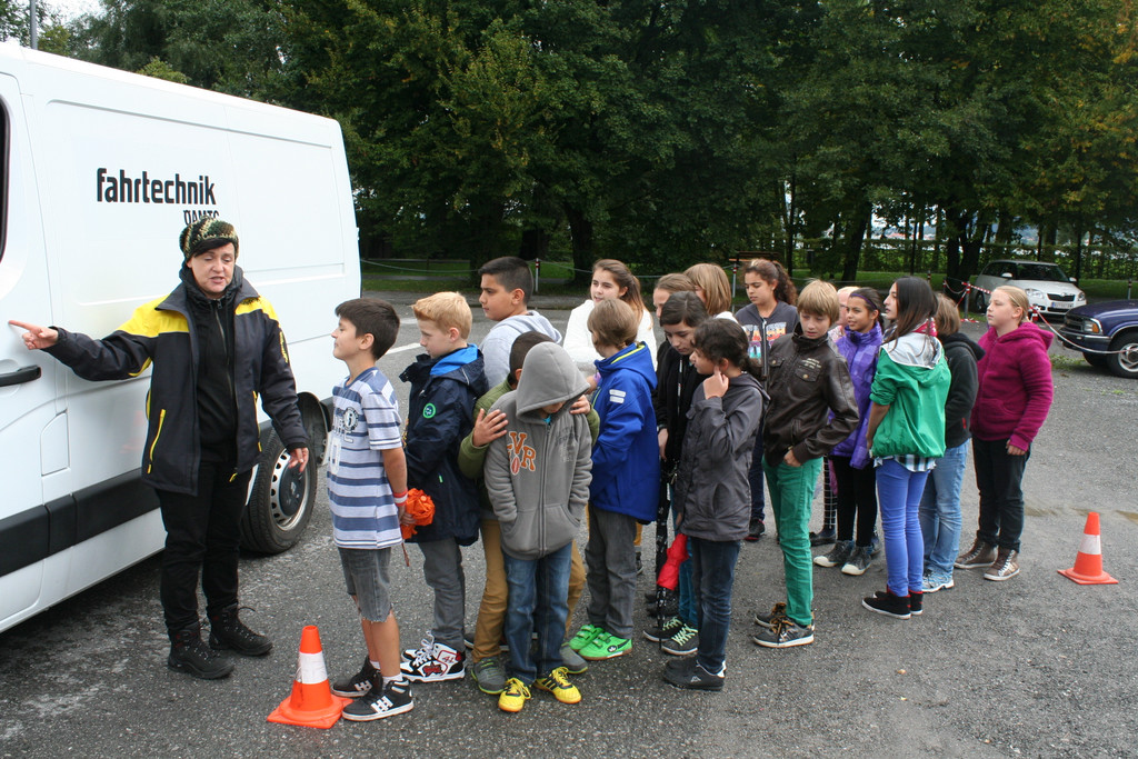 IMG_1781_JPG-1379432942