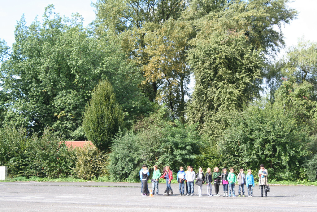 IMG_1800_JPG-1379433265