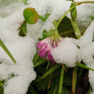 170913schneeat04003aktivnews007.JPG