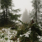 170913schneeat04003aktivnews017.JPG