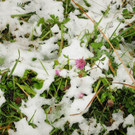 170913schneeat04003aktivnews008.JPG