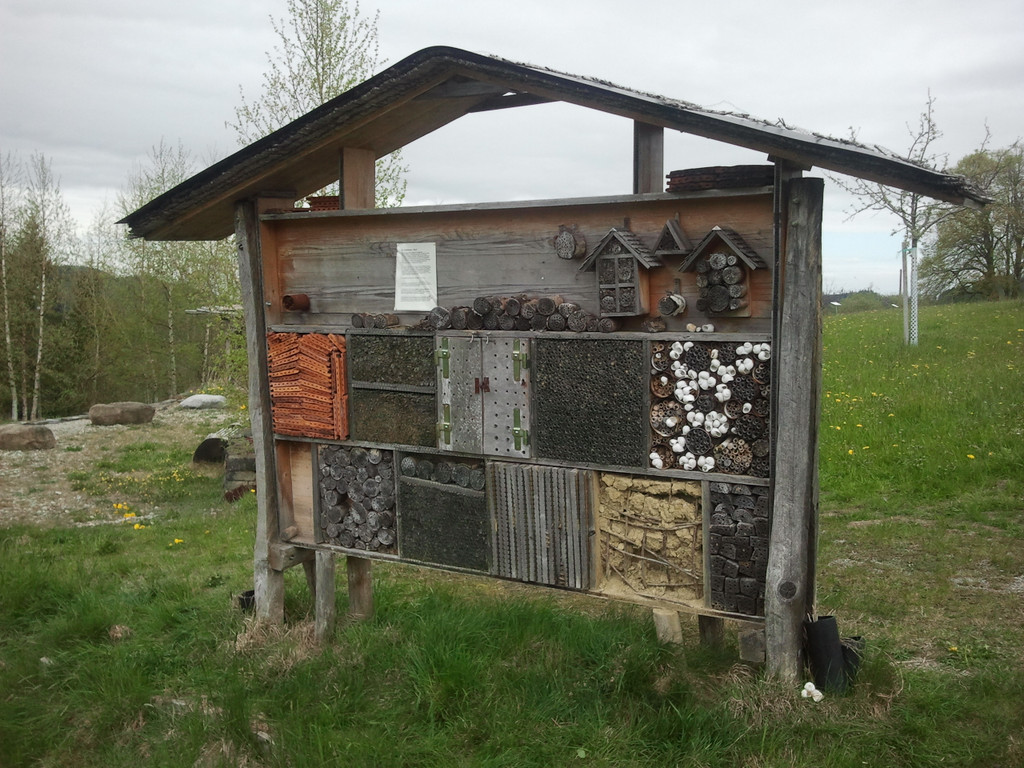 2012-05-01 10_57_07_jpg-1379443210