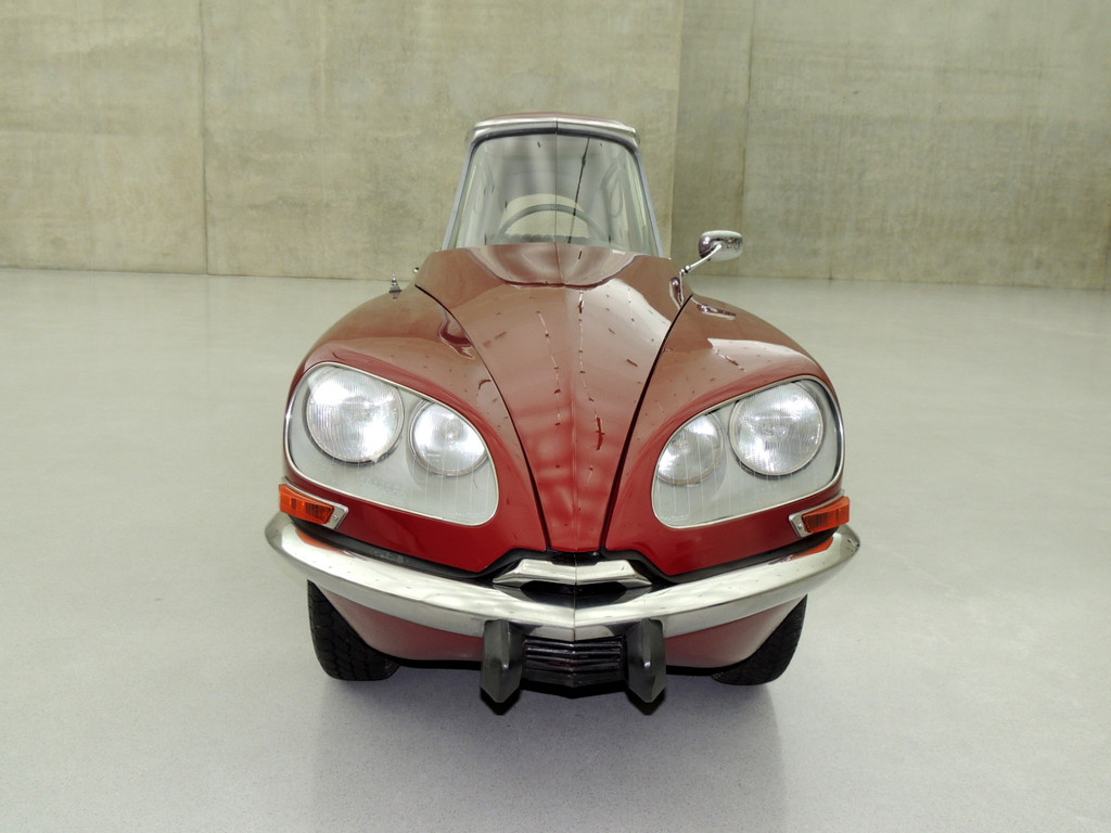 DSCN6497_JPG-1379446006