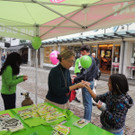 DSCN4532_JPG-1379450772