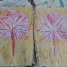 DSCN3619_JPG-1379456801