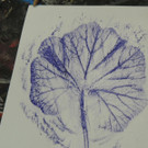 DSCN3624_JPG-1379456817