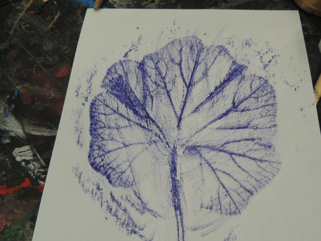 DSCN3624_JPG-1379456817