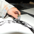 DSCN3629_JPG-1379456825