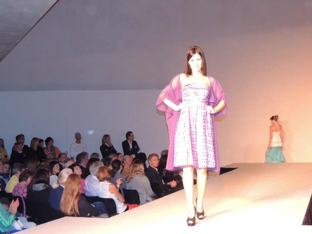 DSCN4427_JPG-1379458070