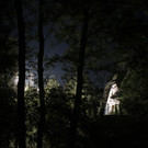 Bilder der Bluttat in NÖ