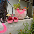 ABD0087-20130918.jpg