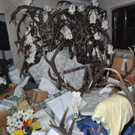 Amoklauf durch Wilderer in NÖ: Waffen und Trophäen