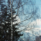 schruns9a.jpg